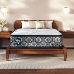 Serta Perfect Sleeper Cascade Canyon Plush Pillow Top - Image 10