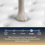 Serta Perfect Sleeper Cascade Canyon Plush Pillow Top - Image 4