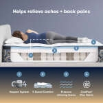 Serta Perfect Sleeper Cascade Range Firm Pillow Top - Image 3