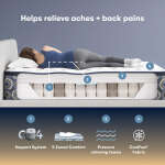 Serta Perfect Sleeper Cascade Canyon Plush Pillow Top - Image 2