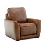 Power Reclining Leather Chair
