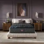 Beautyrest World Class Plush Mattress - Image 2