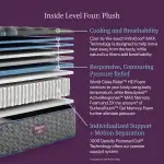 Beautyrest World Class Plush Mattress - Image 3