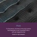 Beautyrest World Class Plush Mattress - Image 4